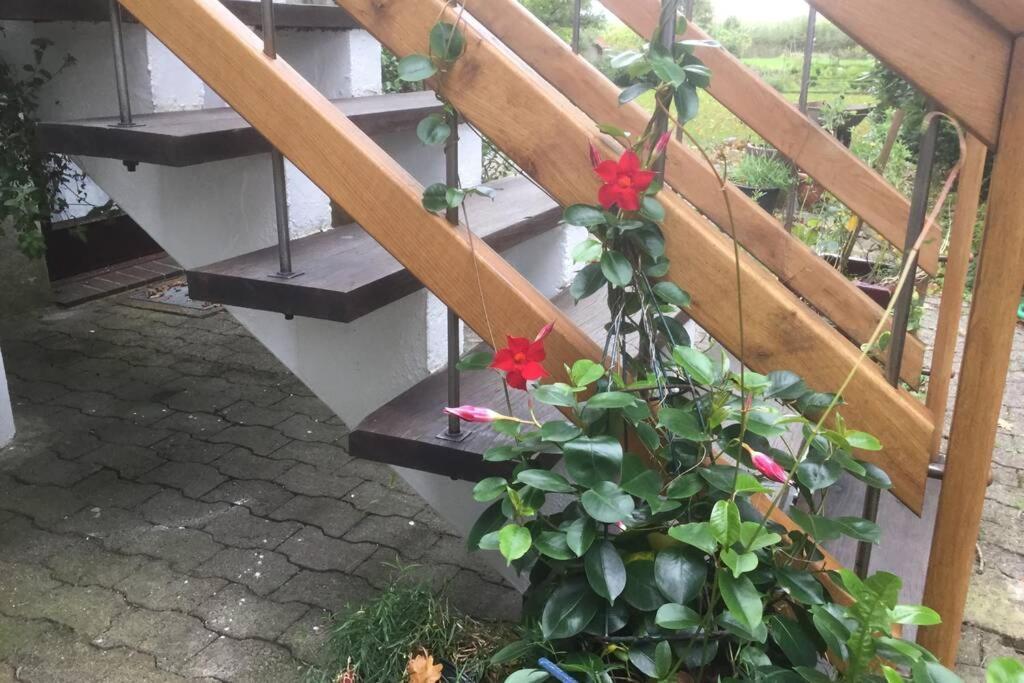 Gemuetliches Nest Fuer Zwei Personen Zum Ausspannen Beverstedt Екстер'єр фото